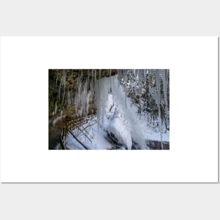 Scheidegg First Waterfall in winter Posters and Art